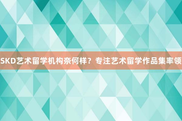 SKD艺术留学机构奈何样？专注艺术留学作品集率领