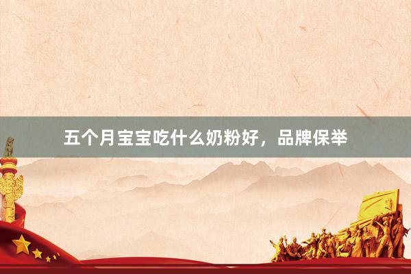 五个月宝宝吃什么奶粉好，品牌保举